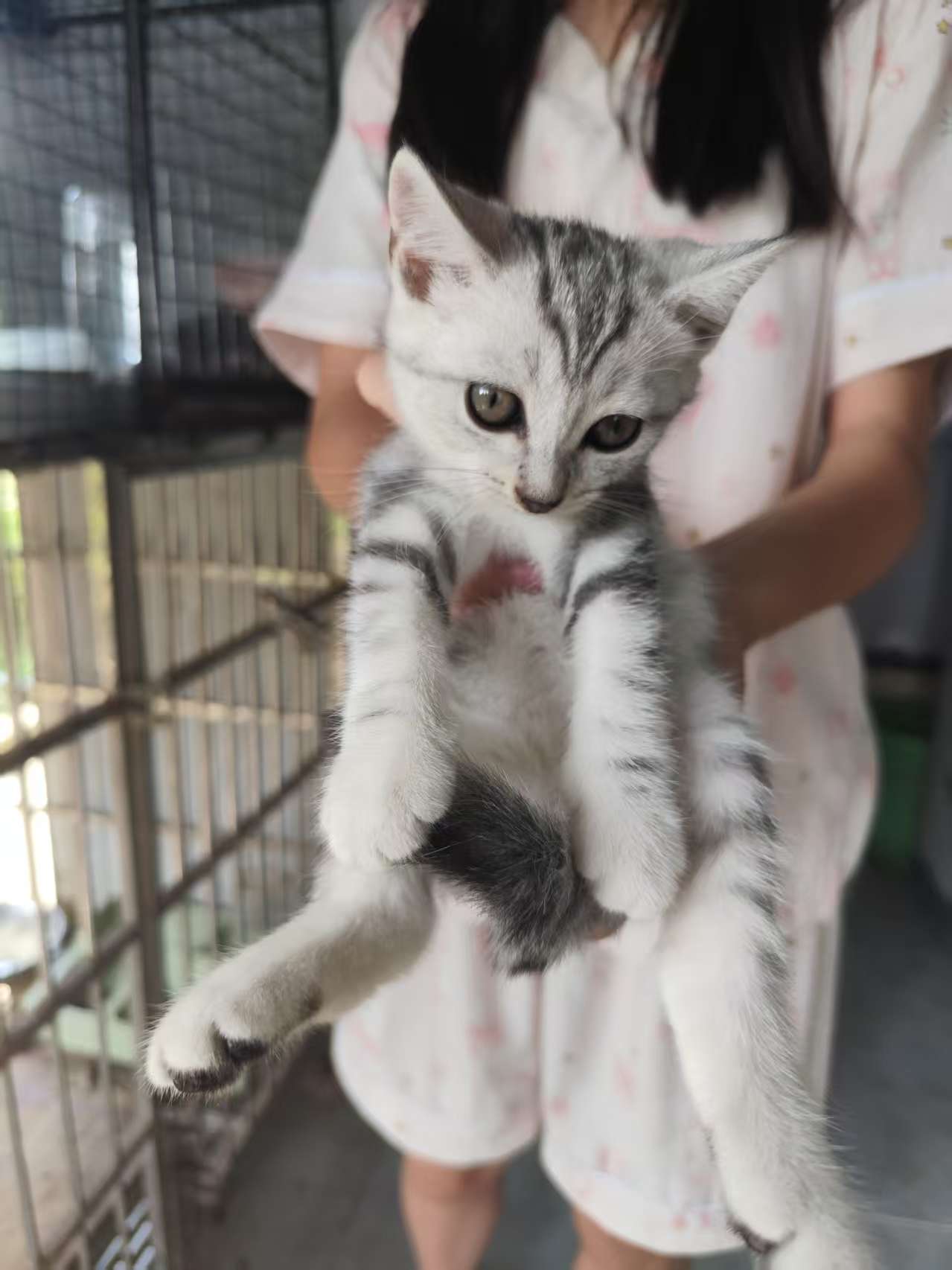 小暖(暖男一枚哦)